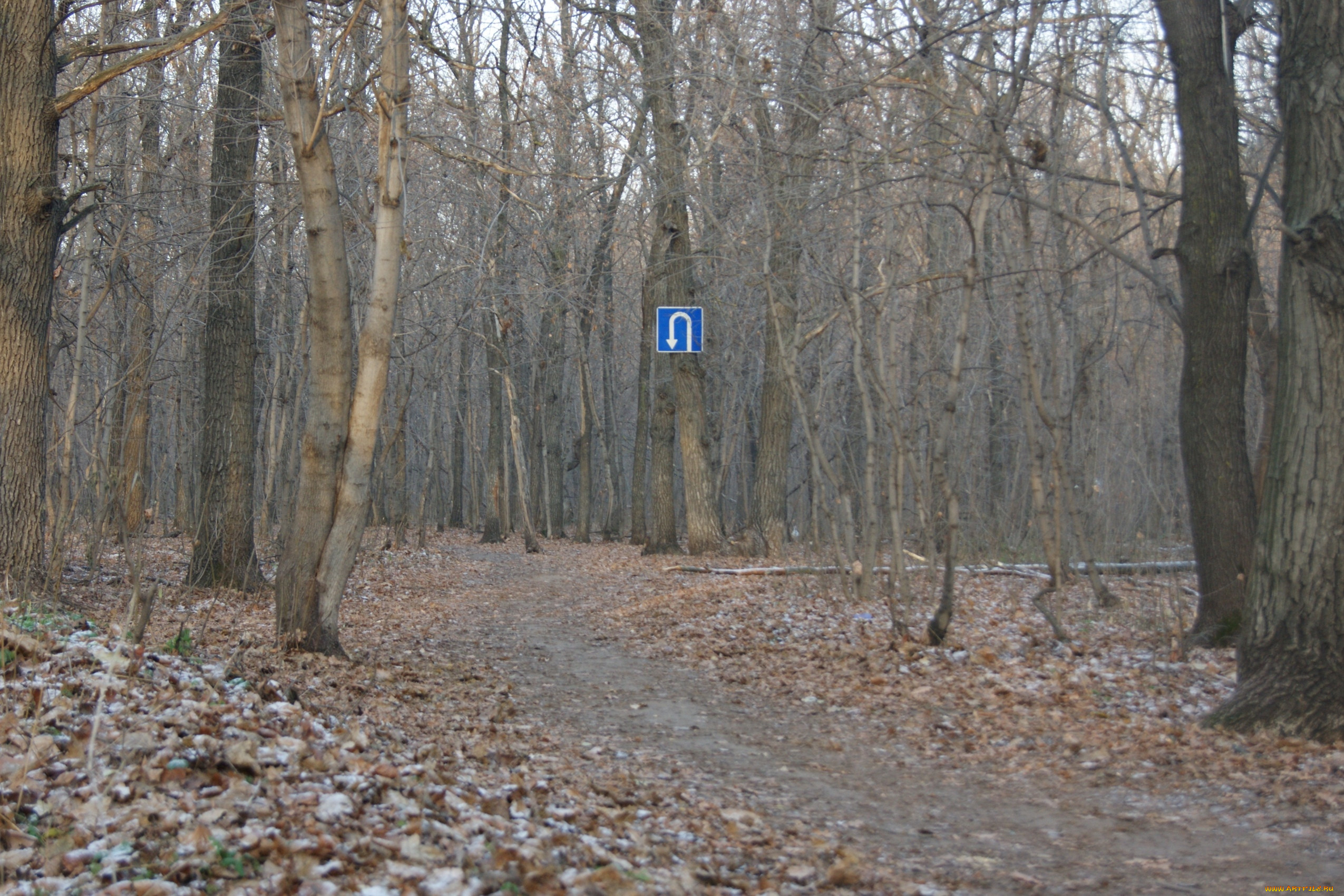   ,   , , , , , 